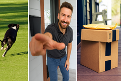 How OVAL AI Hub Keeps Pets, Packages, and Peace of Mind in Check